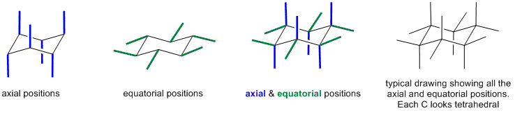 axial and equatorial positions