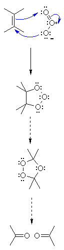 ozonolysis of C=C to C=O