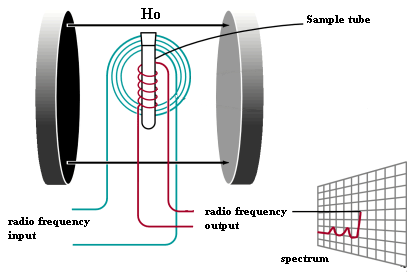 Basic arrangement of an NMR spectrometer