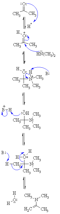 formation of an enamine
