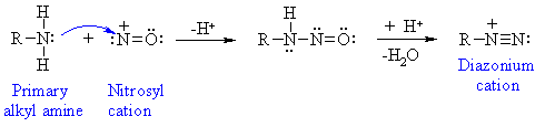 primary amines form unstable N-nitrosoamines that lose H2O and form diazonium ions