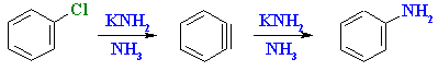 addition of NH3 to benzyne