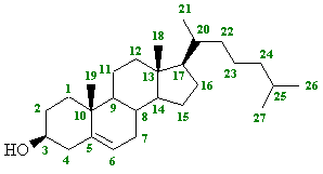 Chemical nature of steroid hormones