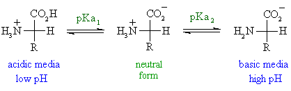 calculate pi isoelectric point calculate pi isoelectric point