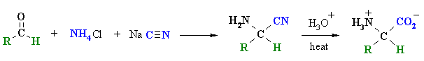 Strecker synthesis of alpha-amino acids