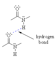 a hydrogen bond in amide systems