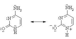 aromatic resonance character for cytosine