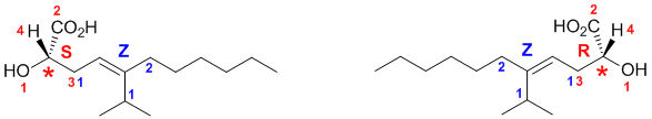 CHP configurations