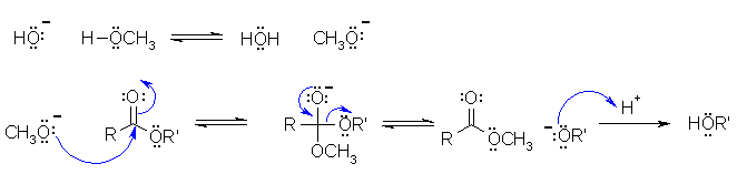 transesterification