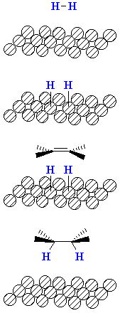 schematic diagram of catalytic hydrogenation
