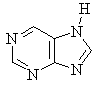 3 N are in DOUBLE BONDS and 1 N contributes a LONE PAIR