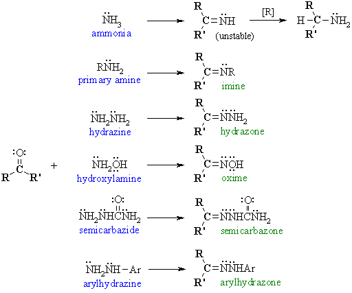 reactions of aldehydes and ketones with primary amine derivatives