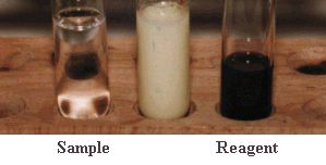 iodofrom test for methyl ketones