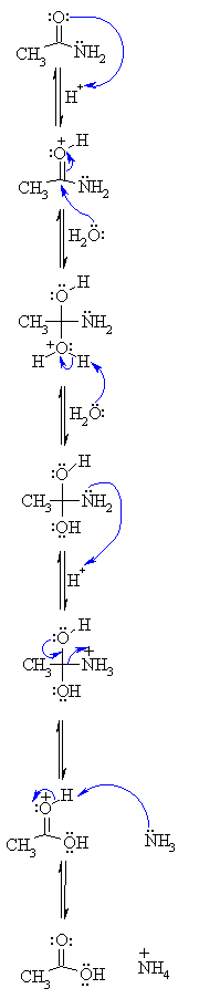 hydrolysis of an ester with acid catalysis