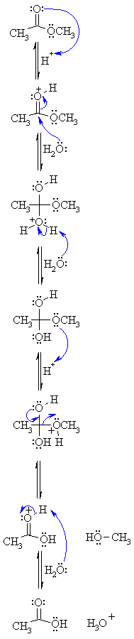 hydrolysis of an ester with acid catalysis