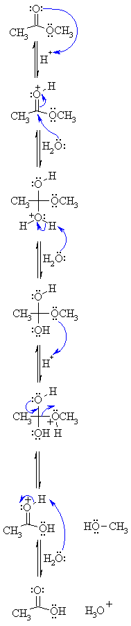 Mechanism Of Hydrolysis