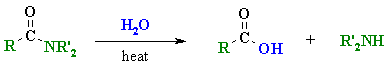 hydrolysis of amides