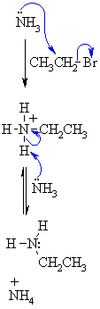 alkylation of ammonia : a simple S<sub>N</sub>2 reaction