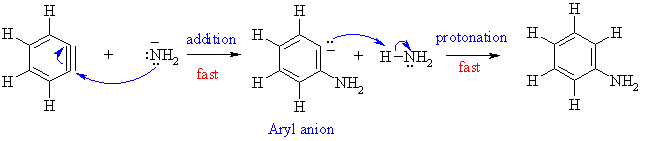 addition step, adding NH3 across the triple bond
