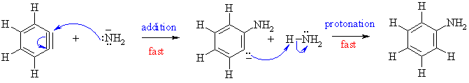 addition step, adding NH3 across the triple bond