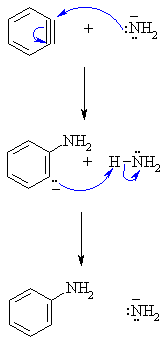 mechanism for the addition of ammonia to benzyne
