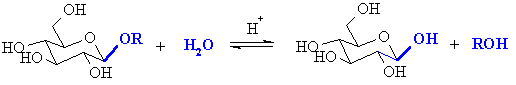 hydrolysis of a glycoside