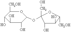 a disaccharide, sucrose
