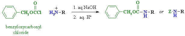 benzoyloxycarbonyl protecting group for amines