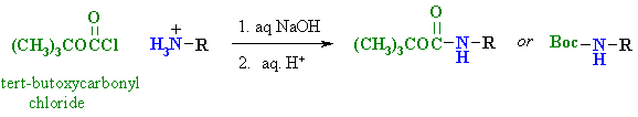 tert-butoxycarbonyl protecting group for amines