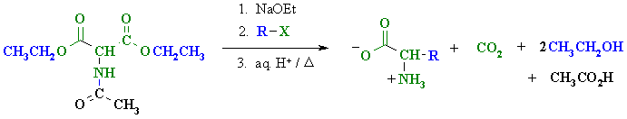 acetamido malonate used to synthesise an amino acid