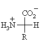 generic structure of an alpha-amino acid