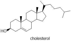 cholesterol