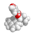 molecule