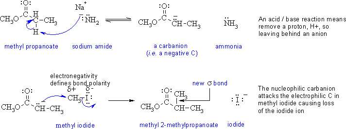 ester enolate alkyaltion