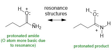 protonated forms