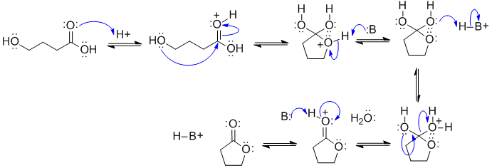 Fischer esterification (intramolecular)