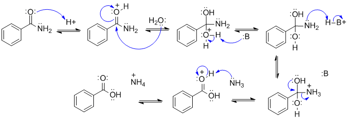 acid catalysed amide hydrolysis