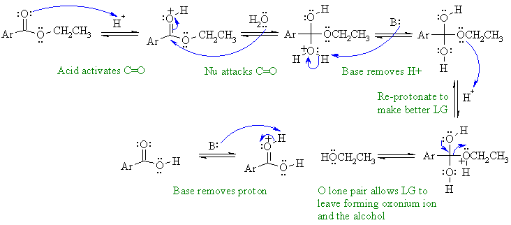 ester hydrolysis in acid