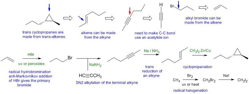 synthesis b1