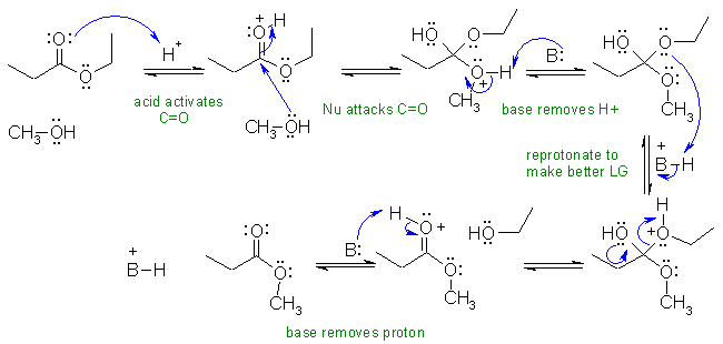 H+ transesterification