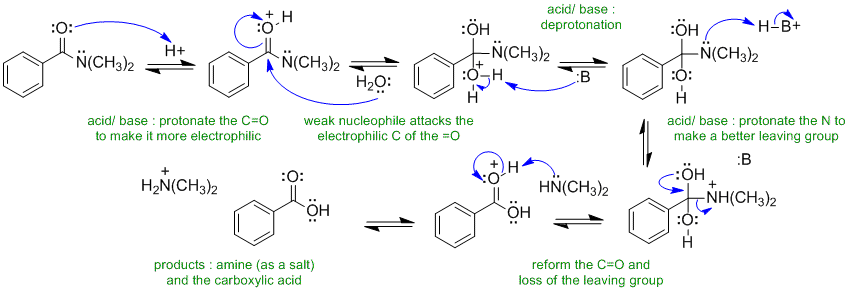 acid catalysed amide hydrolysis