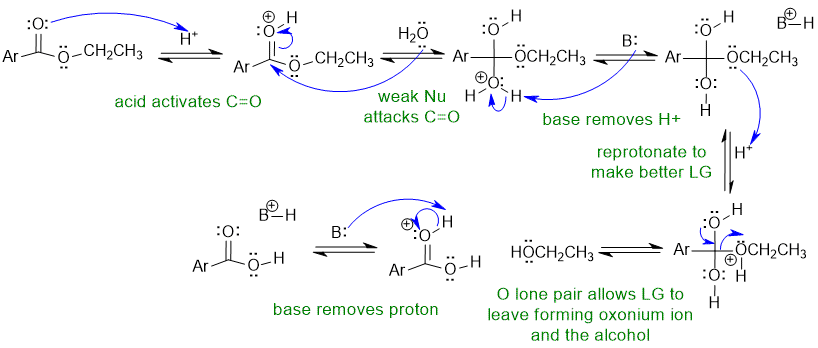 H+ ester hydrolysis