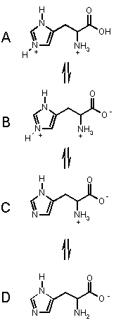 histidine acid/base behaviour